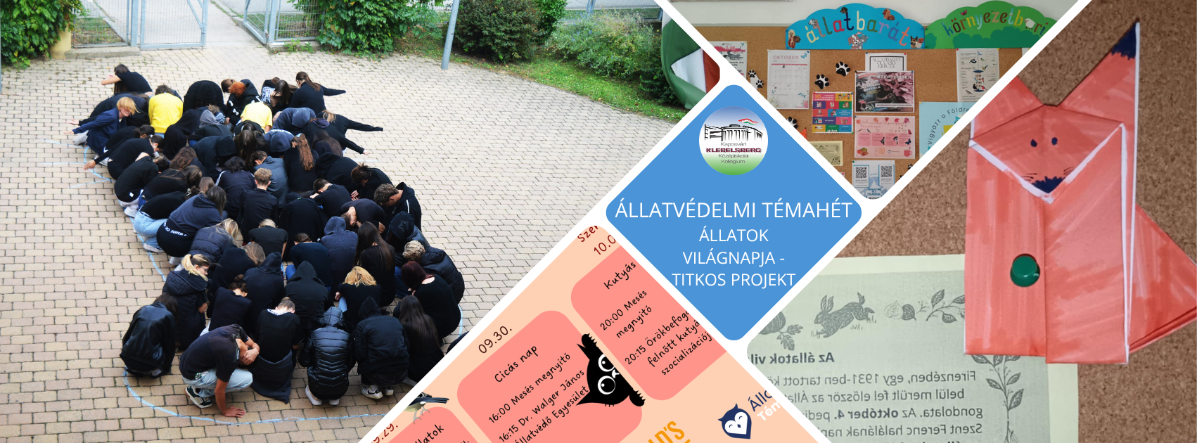 Velünk élő állatok